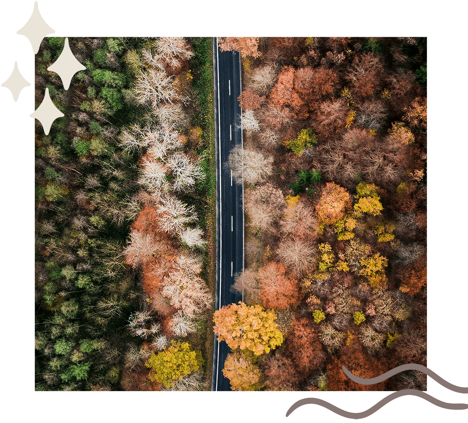 bird's eye view of a road with fall colored trees on either side