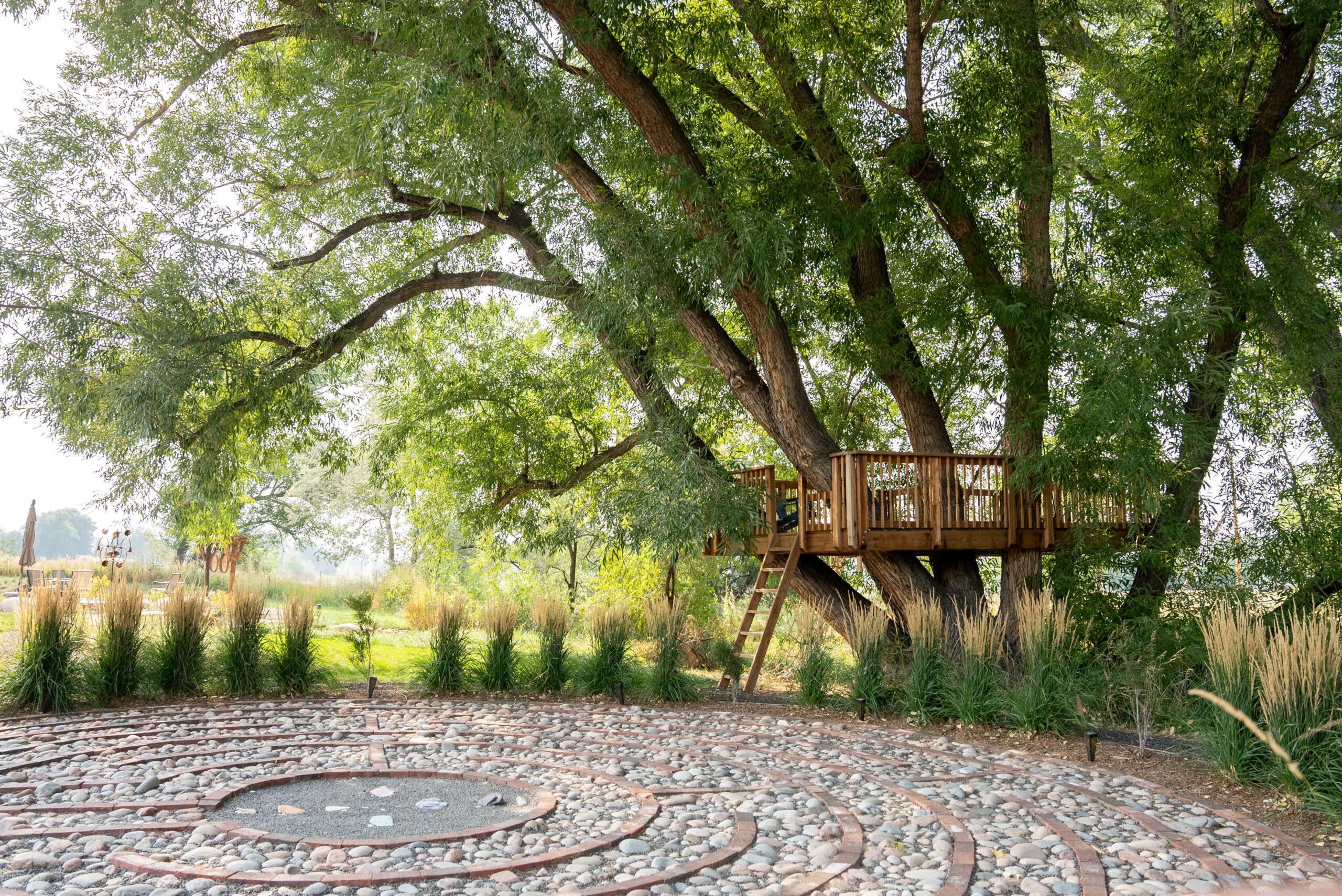 Journal a large tree with a wooden treehouse over a stone patio