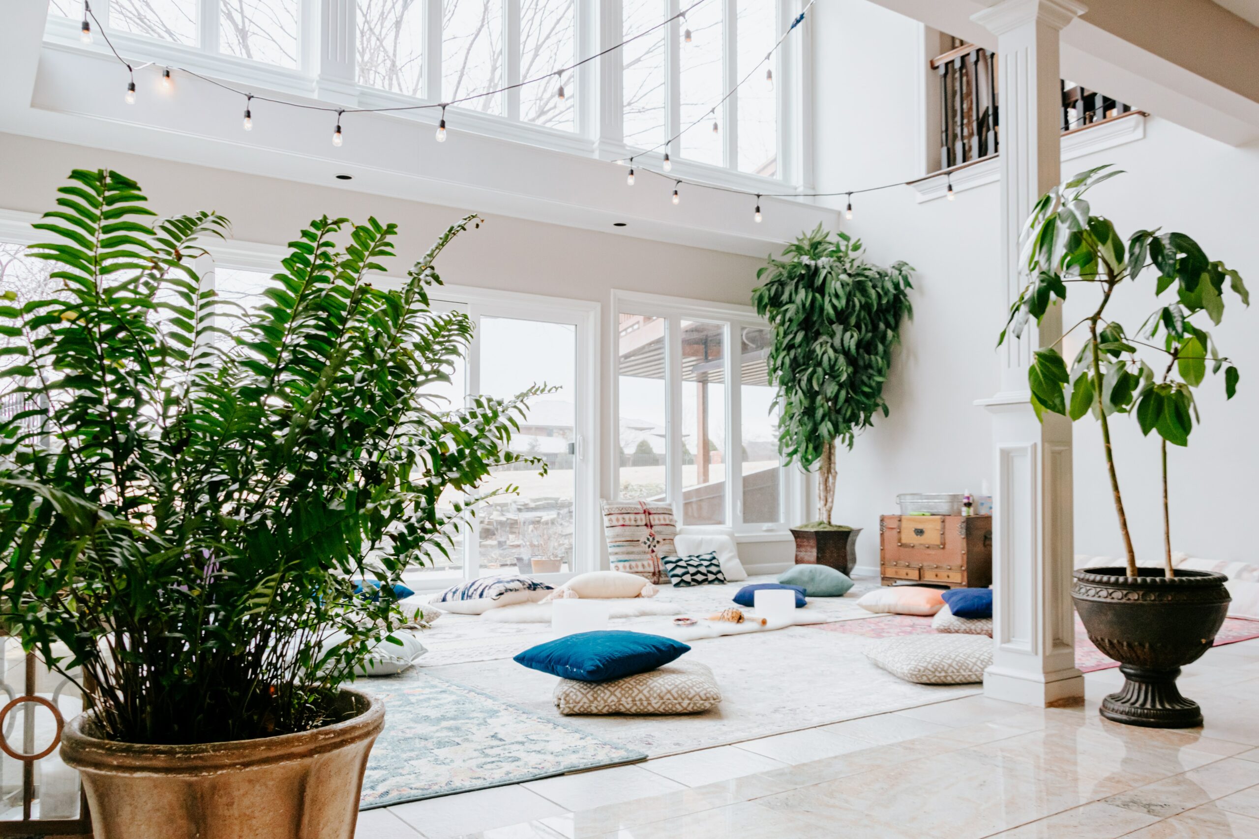 Podcast bright room with windows and large green plants