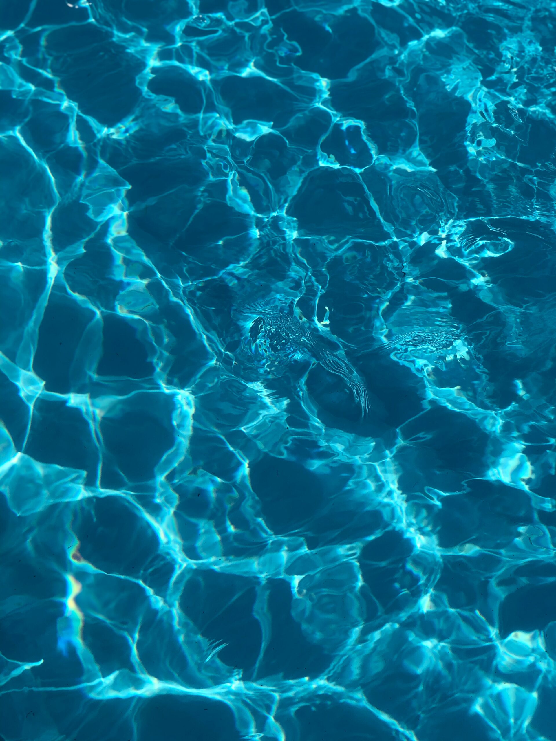Journal close up of blue water