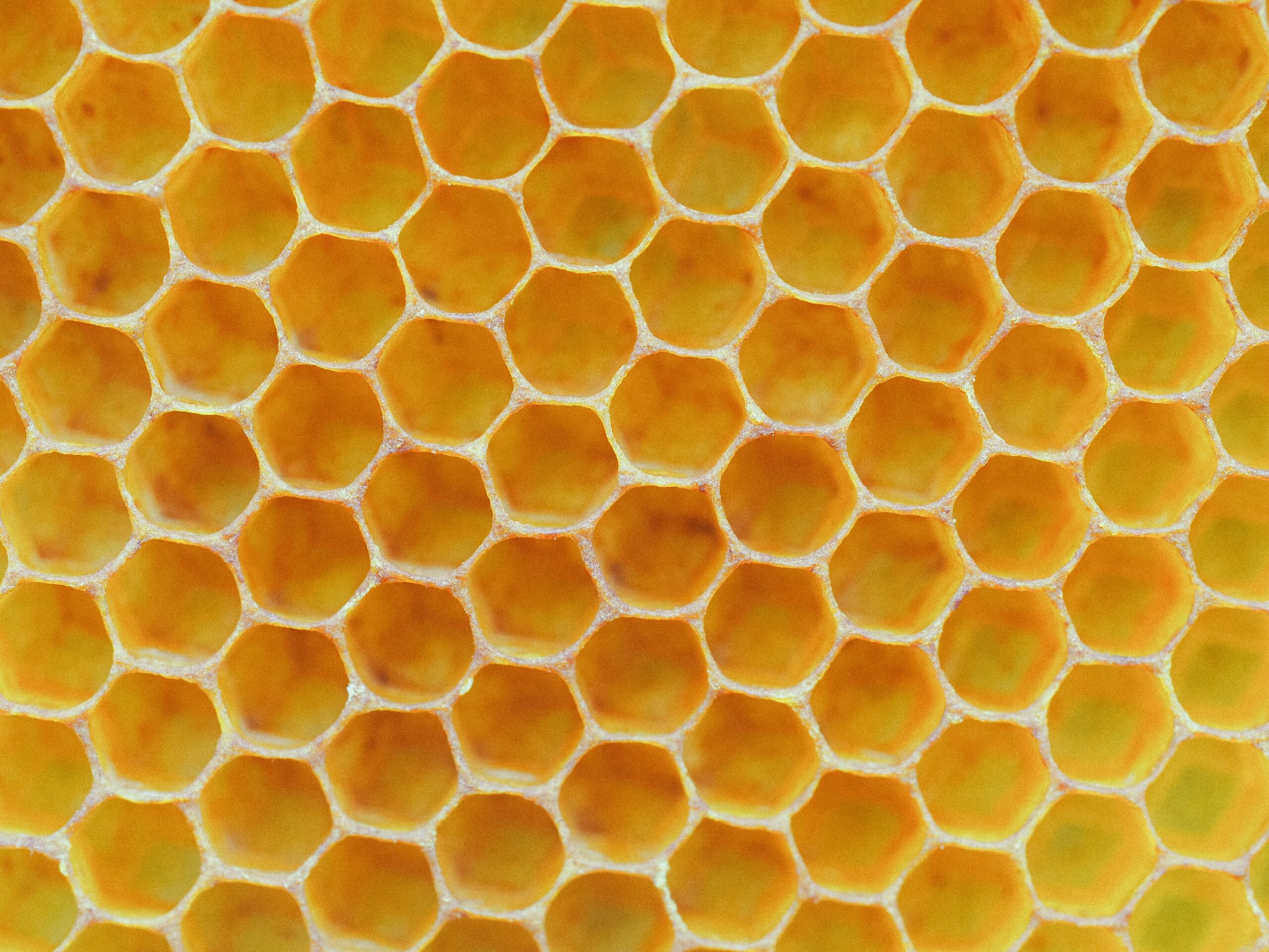 Journal close up of a yellow bee honeycomb