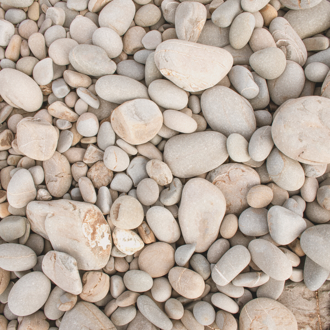 a pile of small brown round rocks