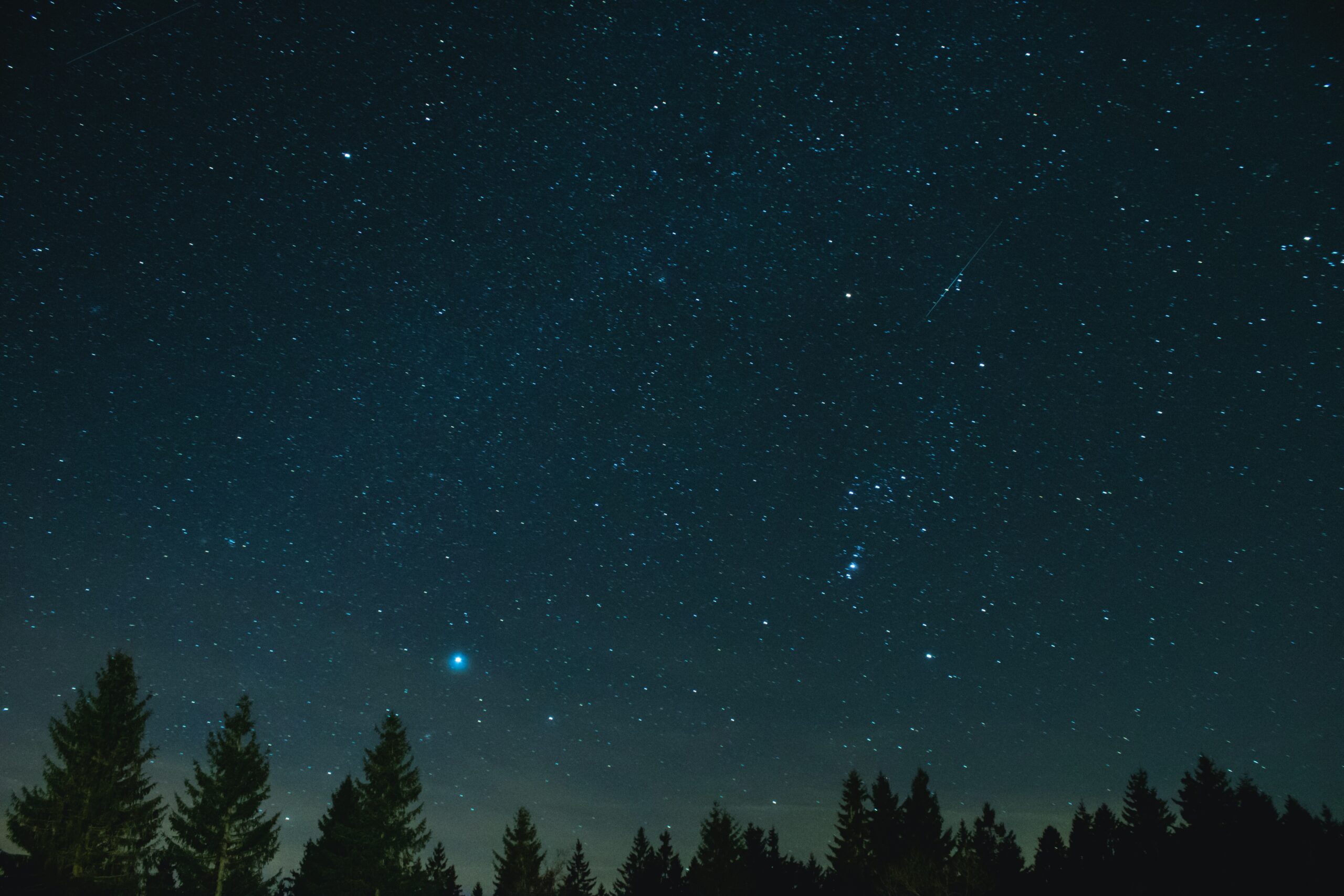 Journal niklas garnholz 1xK Po77W4A unsplash