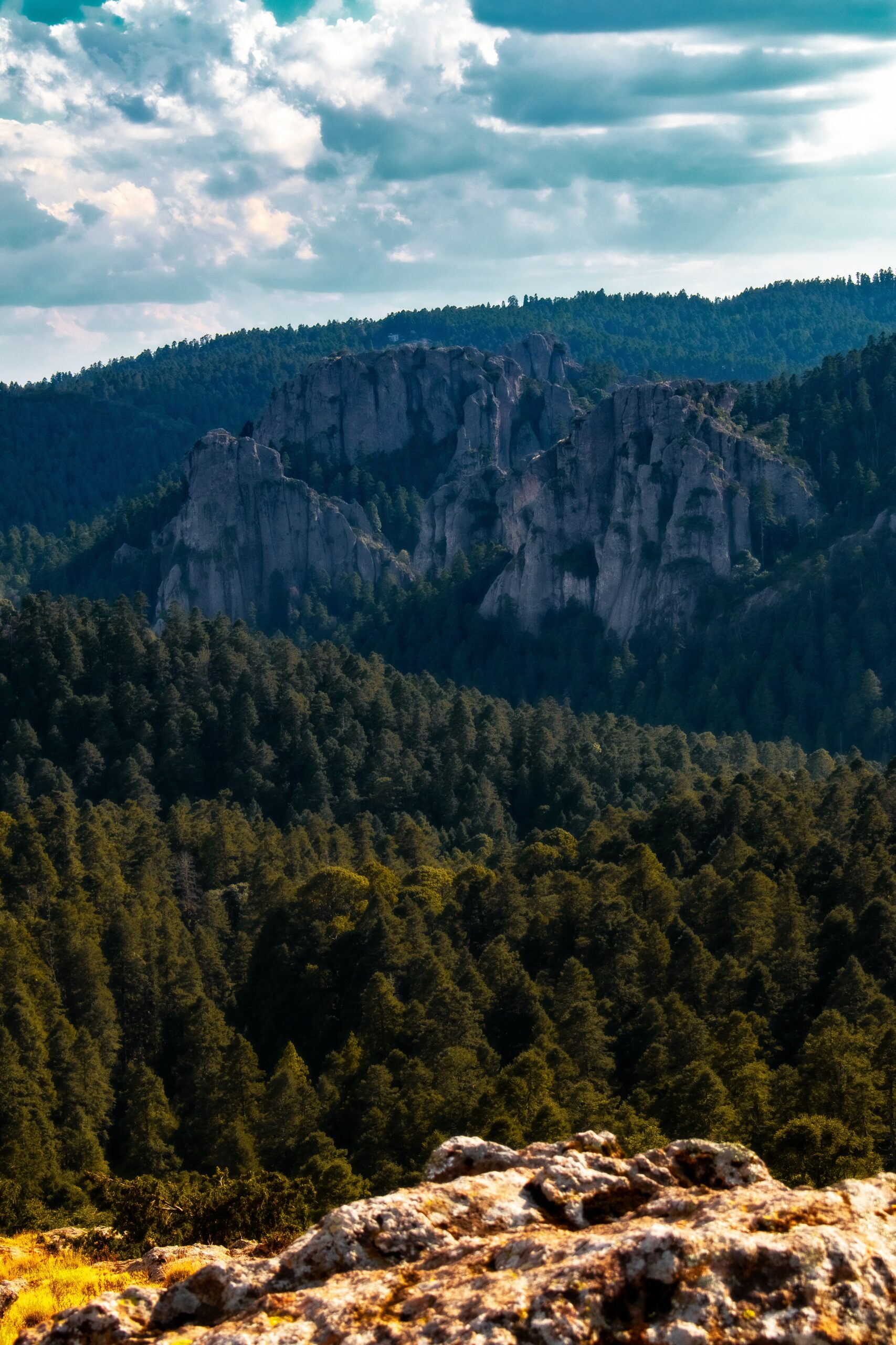 pexels isaac garcia 15202938