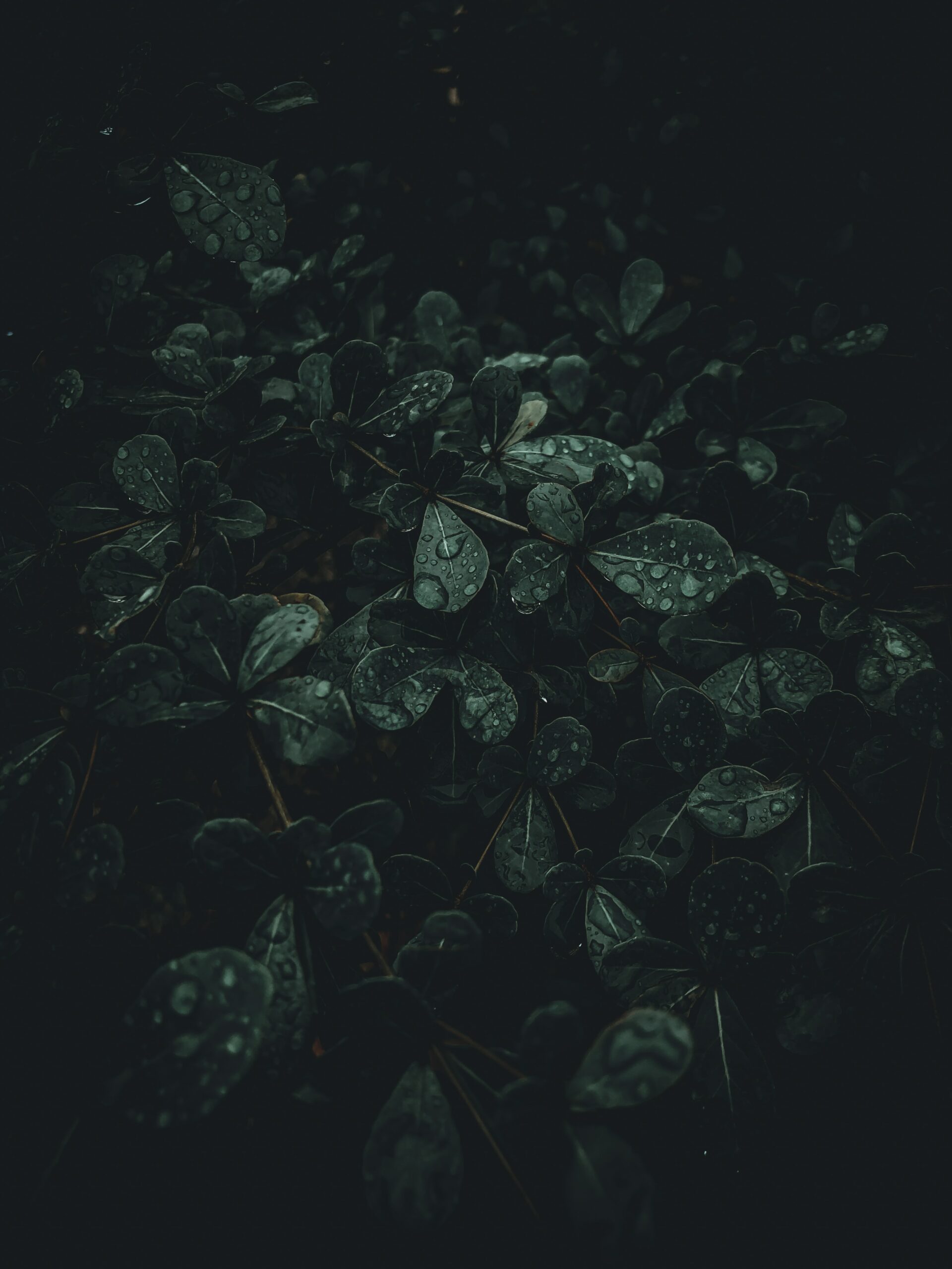 waseem khan 96u3Eo4TzM unsplash